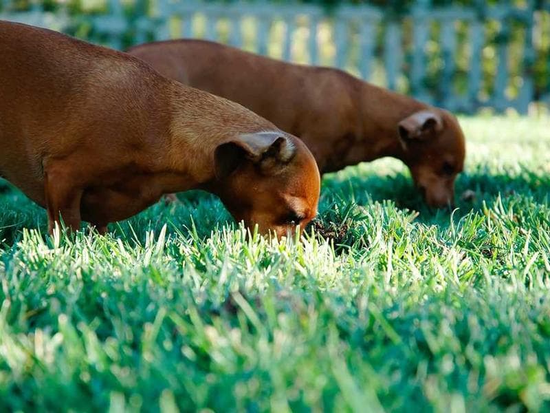 WINTER DRIVING ACADEMY